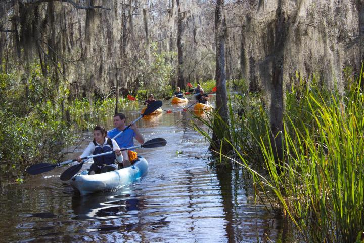 Manchac Mystic Wildlife Kayak Tour Image 2